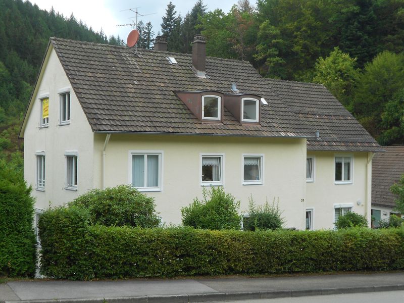 Neu renovierte 3-Zimmer-Wohnung